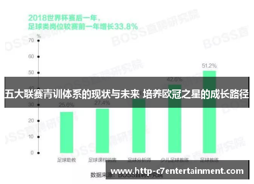 五大联赛青训体系的现状与未来 培养欧冠之星的成长路径