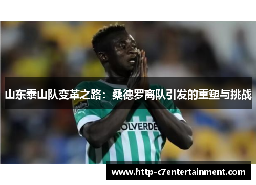 山东泰山队变革之路:桑德罗离队引发的重塑与挑战 山东泰山队变革之路:桑德罗离队引发的重塑与挑战