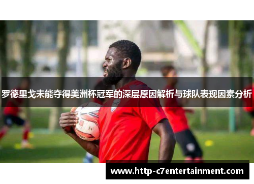 罗德里戈未能夺得美洲杯冠军的深层原因解析与球队表现因素分析