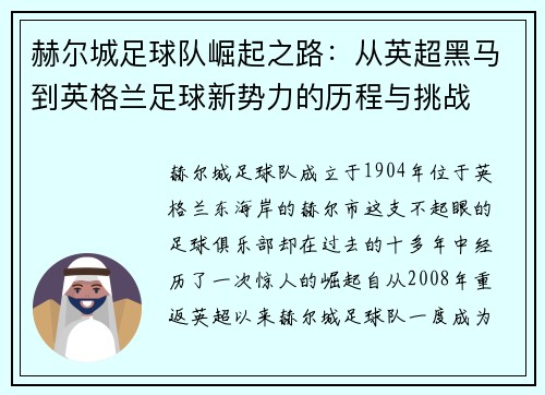 赫尔城足球队崛起之路：从英超黑马到英格兰足球新势力的历程与挑战